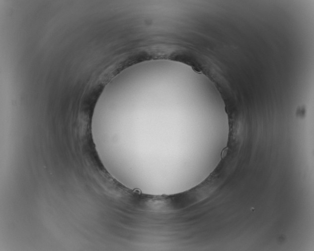 X0000112430283200909041443