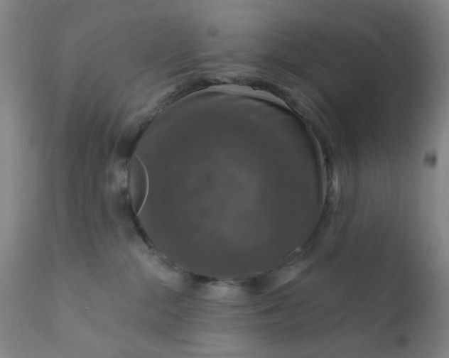 X0000112430284200909041443