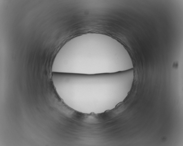 X0000112430285200909041443