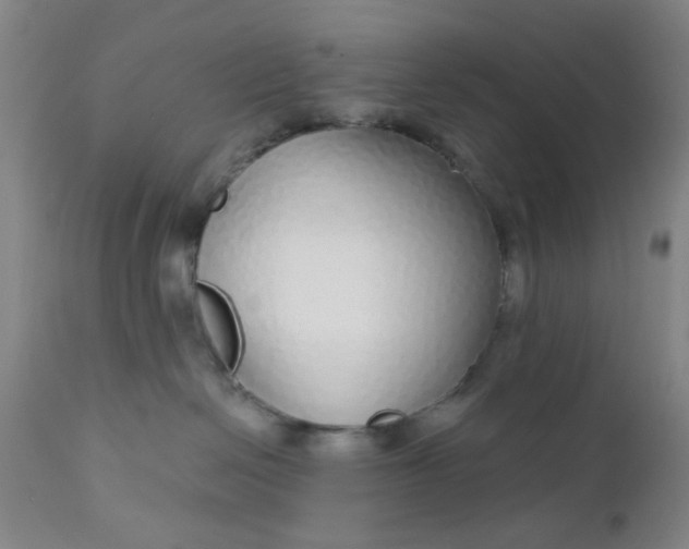 X0000112430286200909041443
