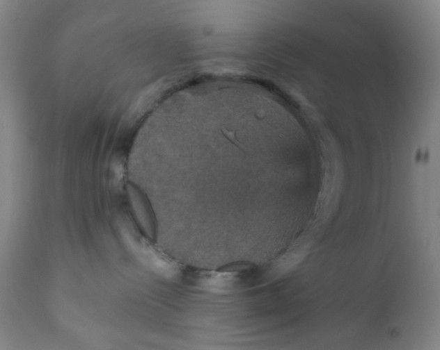 X0000112430288200909041443