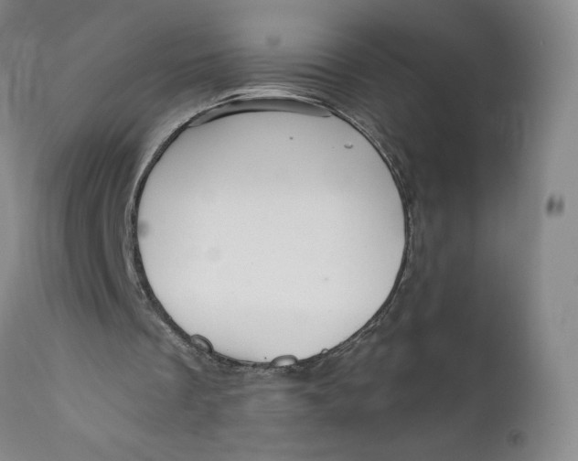 X0000112430289200909041442