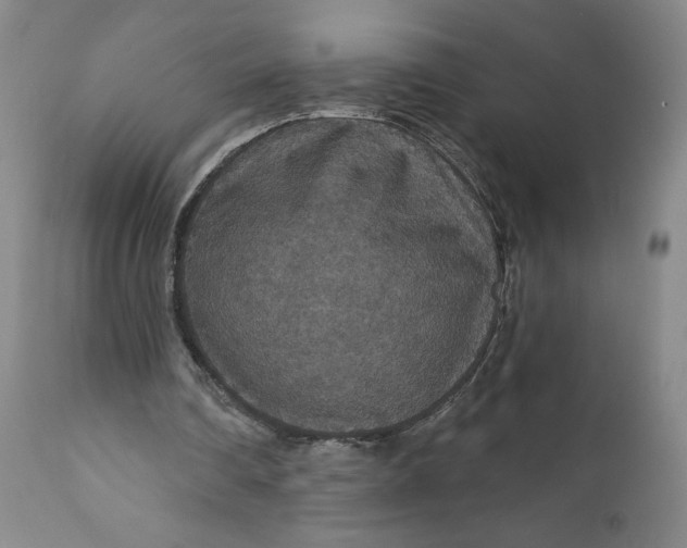 X0000112430290200909041442