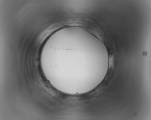 X0000112430291200909041442