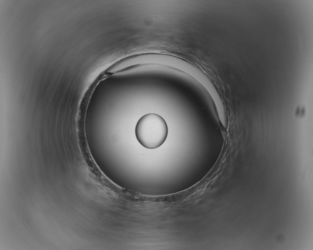 X0000112430292200909041442