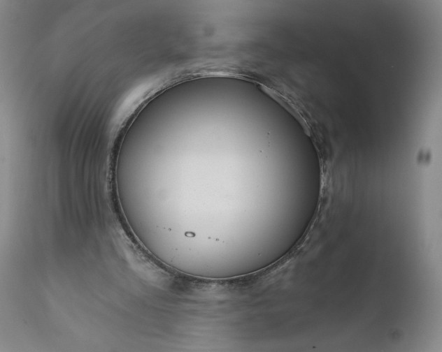 X0000112430293200909041442