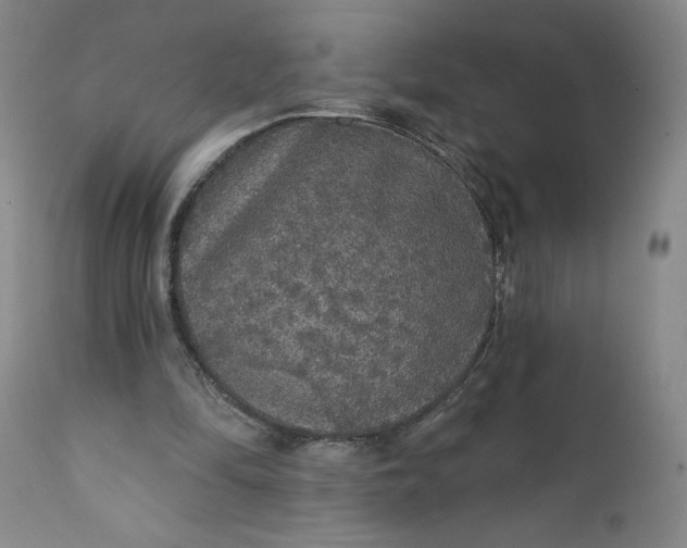 X0000112430294200909041442