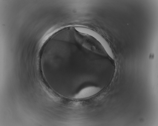 X0000112430295200909041442