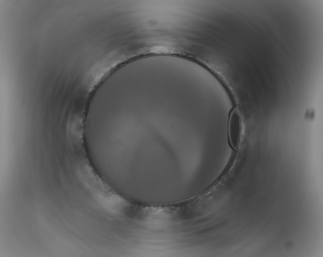 X0000112430297200909041442