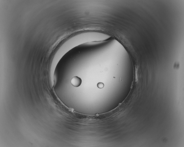 X0000112430300200909041442