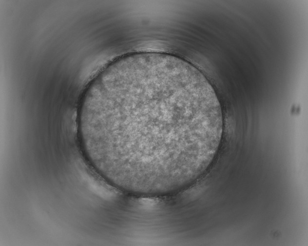 X0000112430302200909041442
