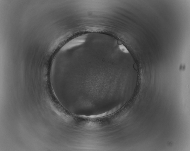 X0000112430303200909041442