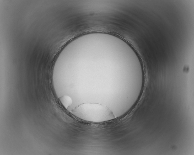 X0000112430305200909041442