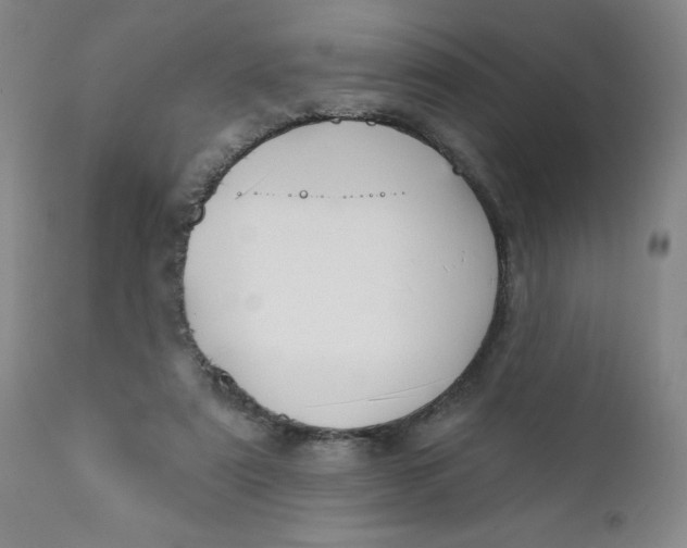 X0000112430307200909041442