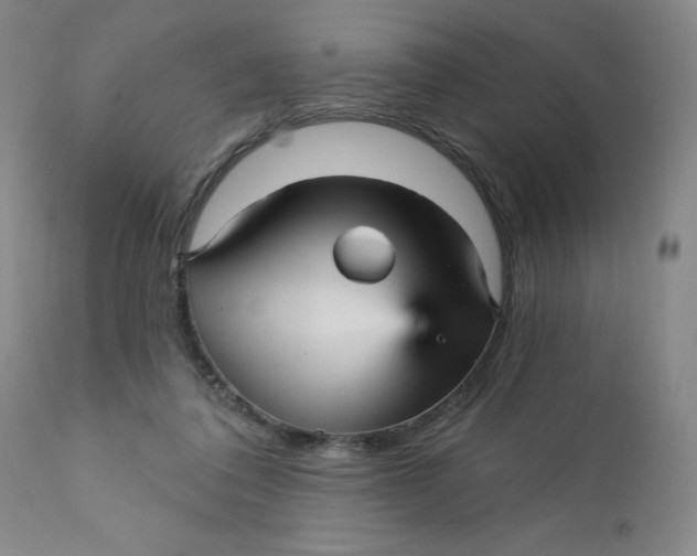 X0000112430308200909041442