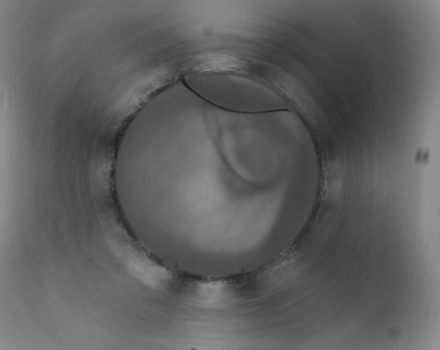 X0000112430309200909041442