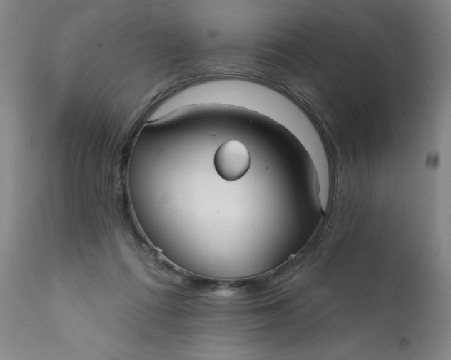 X0000112430312200909041442