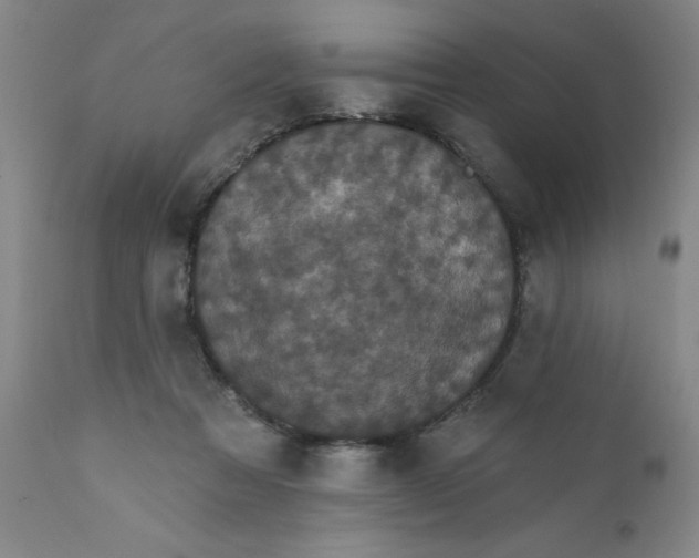 X0000112430313200909041442