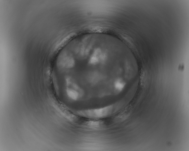 X0000112430314200909041442
