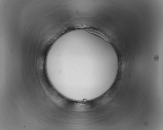X0000112430315200909041442
