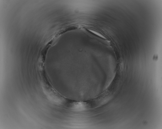 X0000112430316200909041442