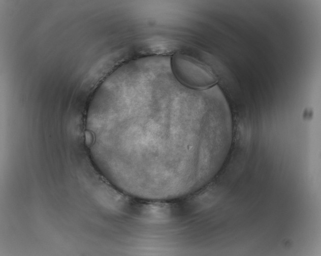 X0000112430317200909041442