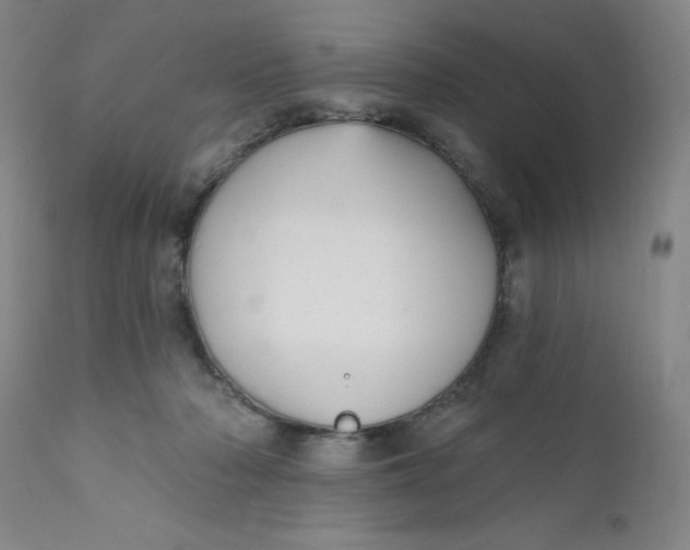 X0000112430318200909041442