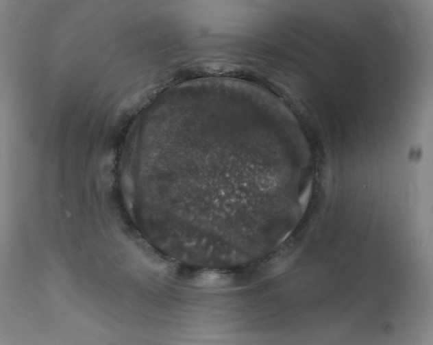 X0000112430319200909041442