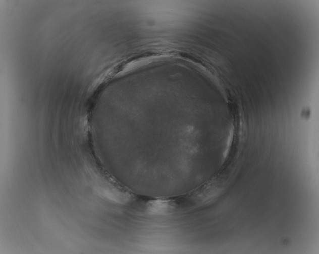 X0000112430320200909041442
