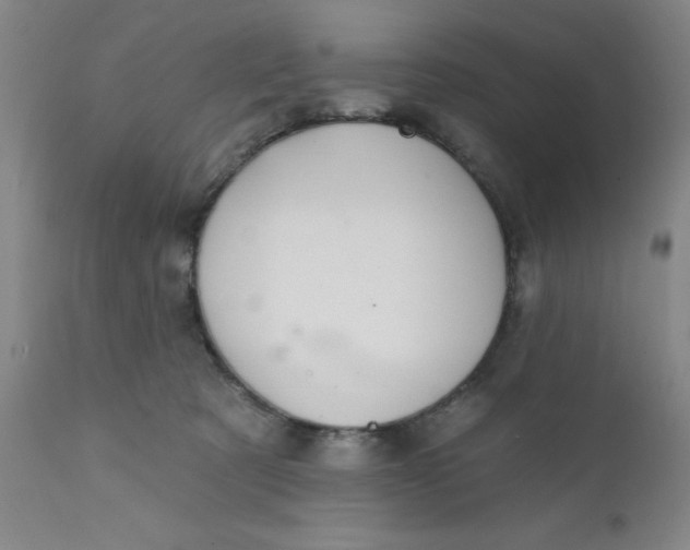 X0000112430321200909041442
