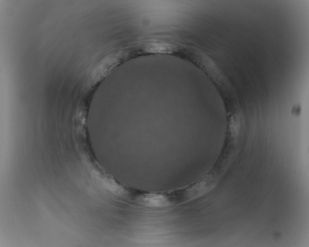 X0000112430322200909041442
