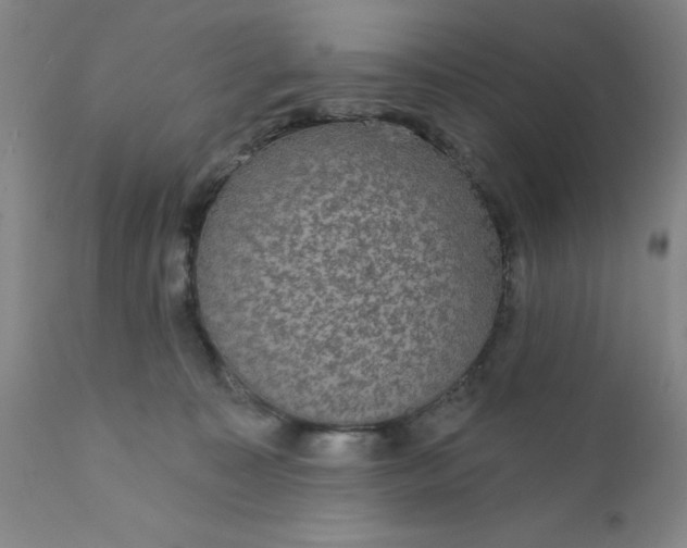 X0000112430323200909041442