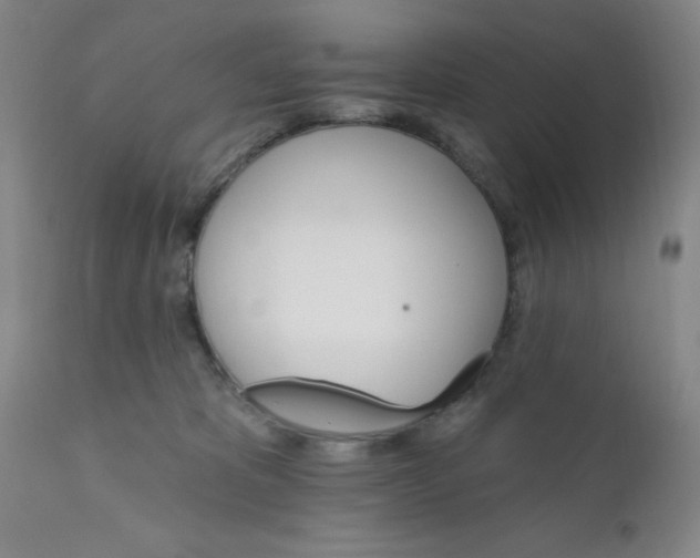 X0000112430325200909041442