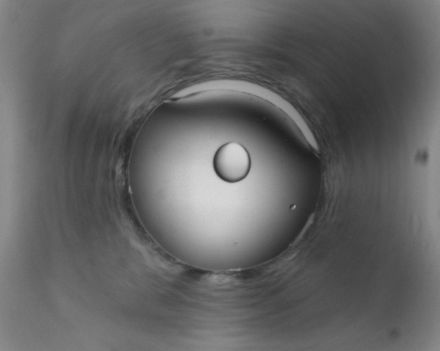 X0000112430327200909041442