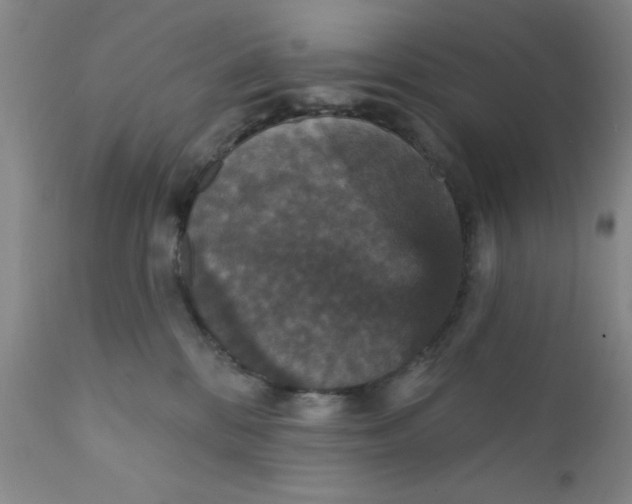 X0000112430328200909041442