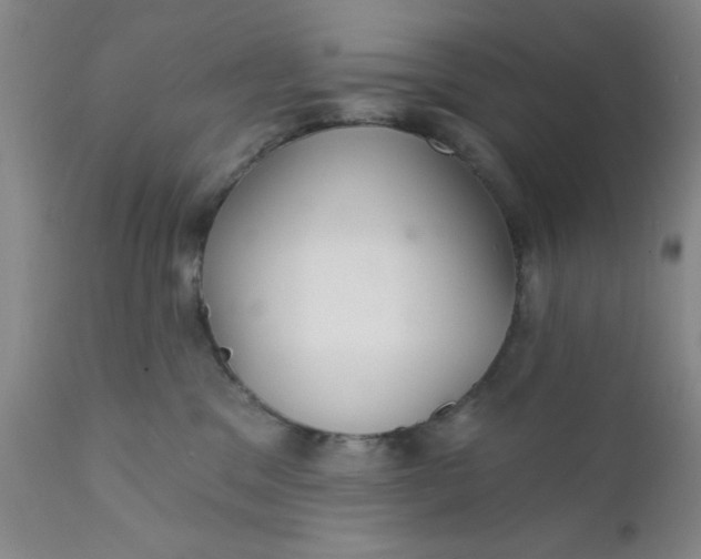 X0000112430329200909041442
