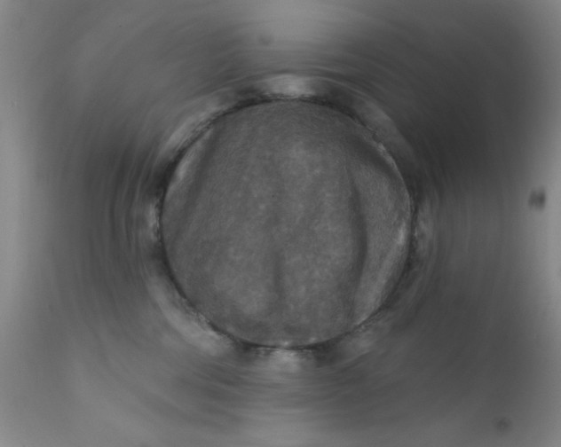 X0000112430330200909041442