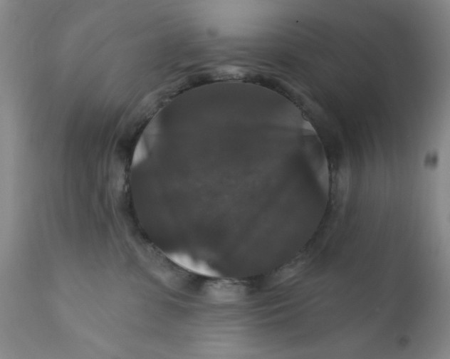 X0000112430331200909041442