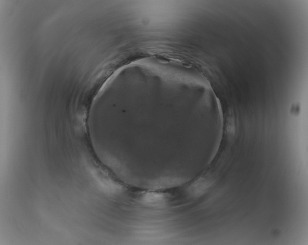 X0000112430332200909041442