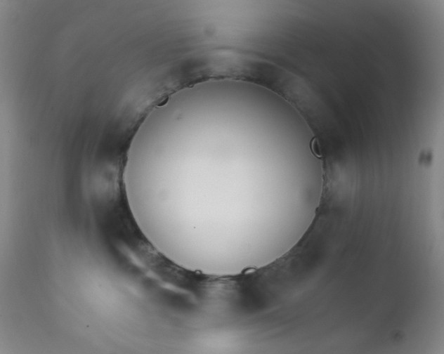 X0000112430333200909041442
