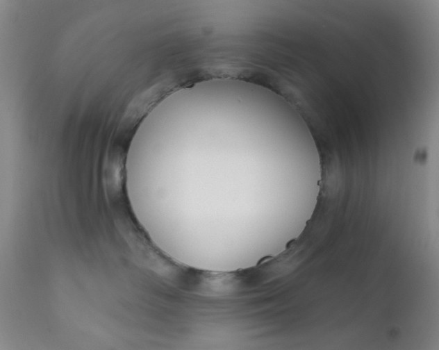 X0000112430334200909041442