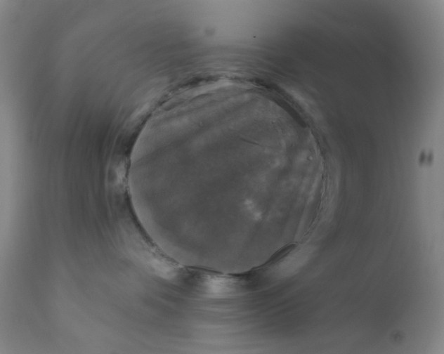 X0000112430336200909041442