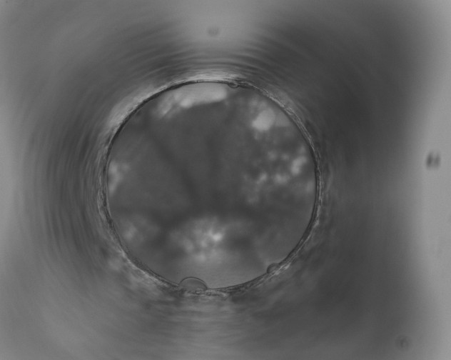 X0000112430337200909041441