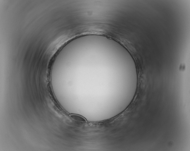 X0000112430338200909041441