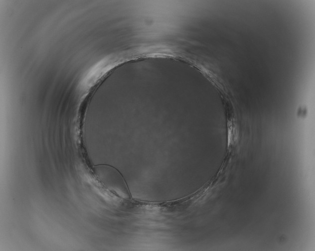 X0000112430339200909041441