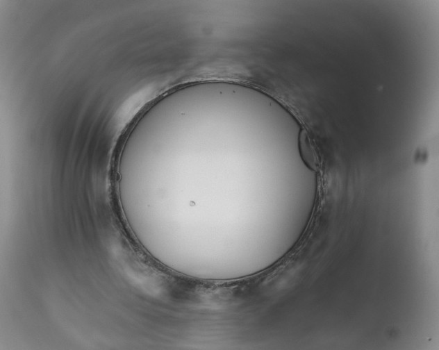 X0000112430340200909041441