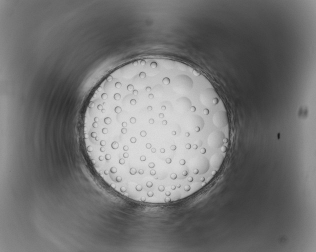 X0000112430341200909041441