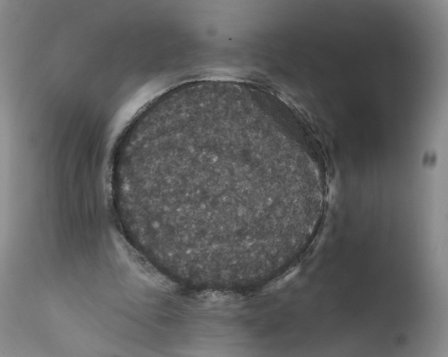 X0000112430343200909041441