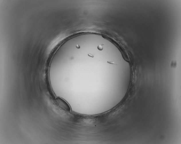 X0000112430344200909041441