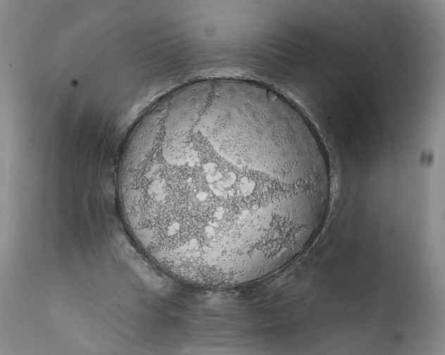 X0000112430345200909041441